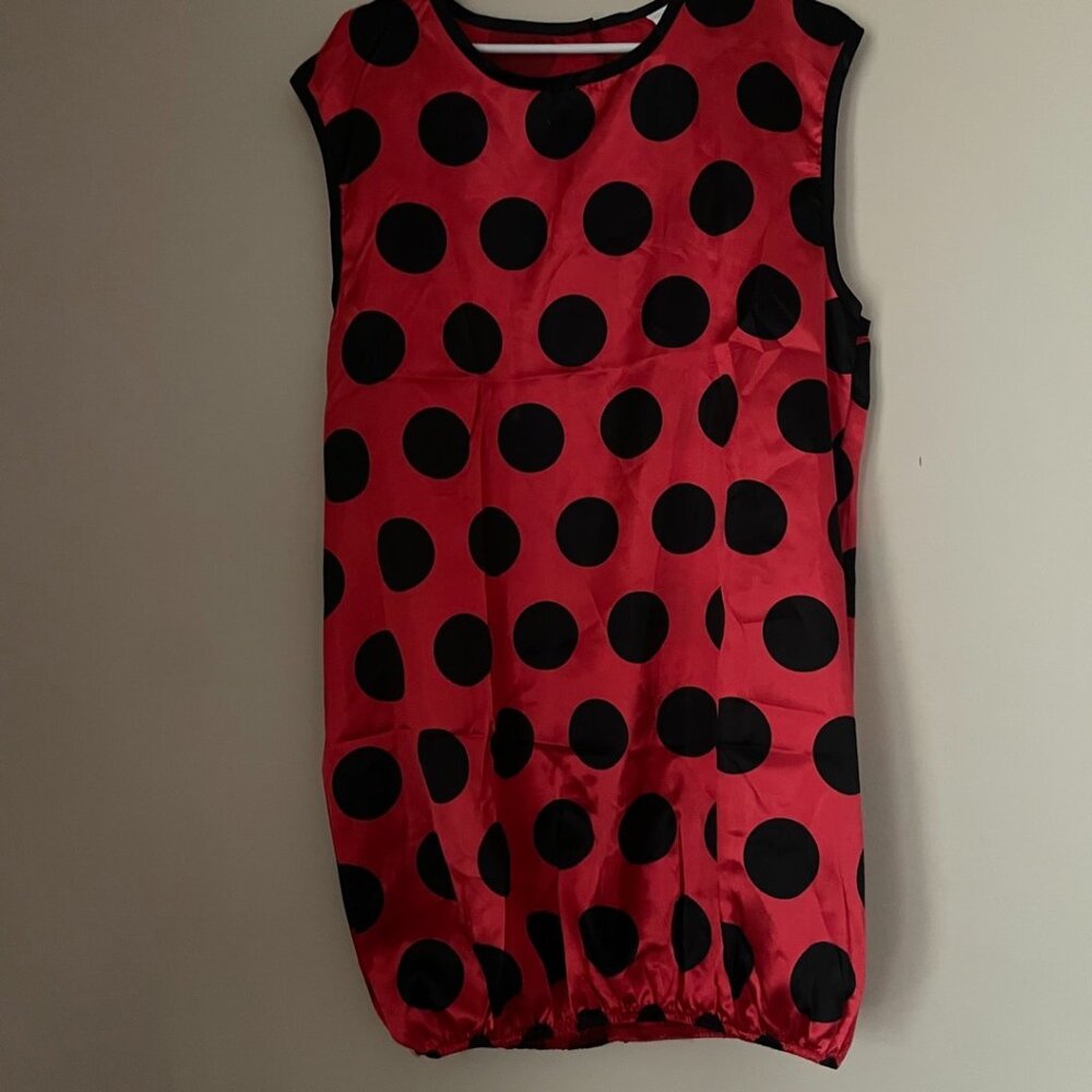 Adult Ladybug Costume Dress Set